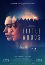 Küçük Orman – Little Woods 2018 Altyazılı izle